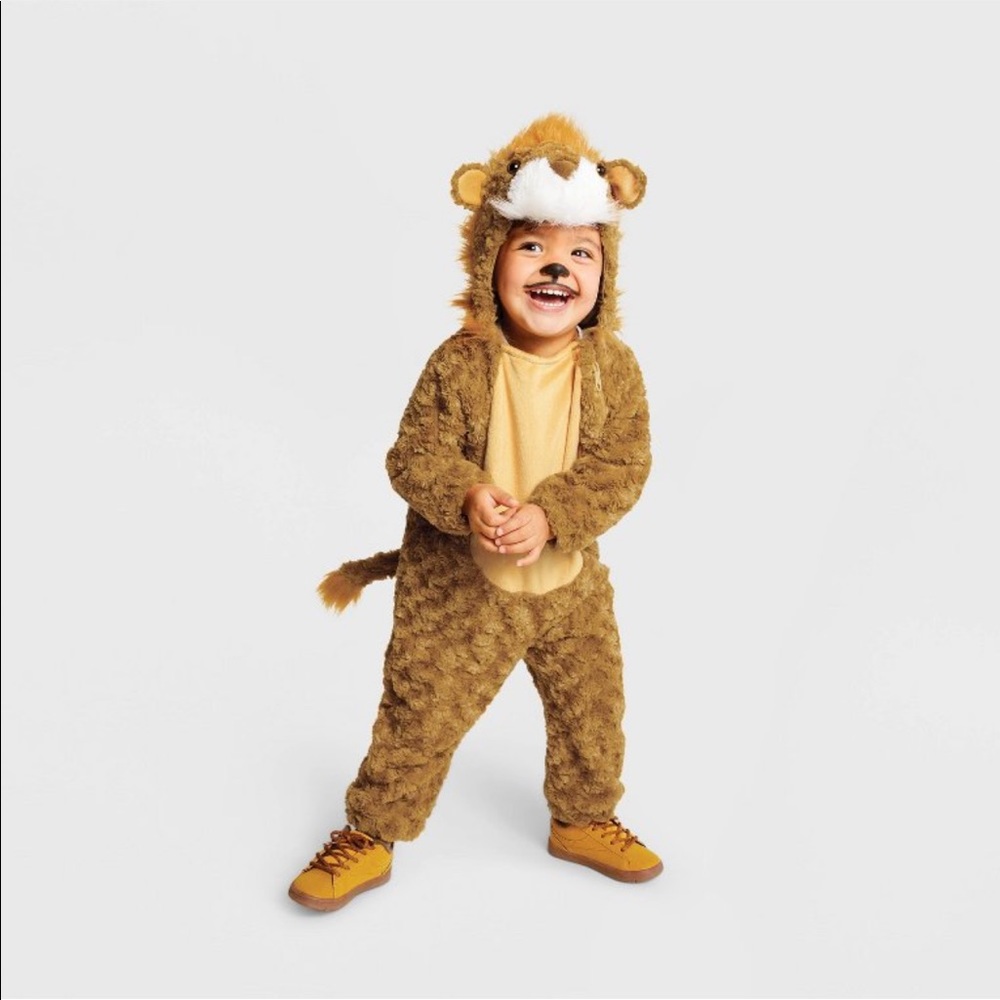 Lion costume